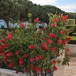 Presqu'ile De La Lagune - Piscine - & Nature Apartment Saint-Cyprien (Pyrenees-Orientales)