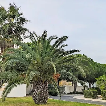 Presqu'ile De La Lagune - Piscine - & Nature סן סיפריאן