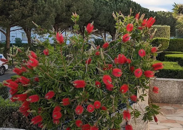 Presqu'ile De La Lagune - Piscine - & Nature דירה סן סיפריאן