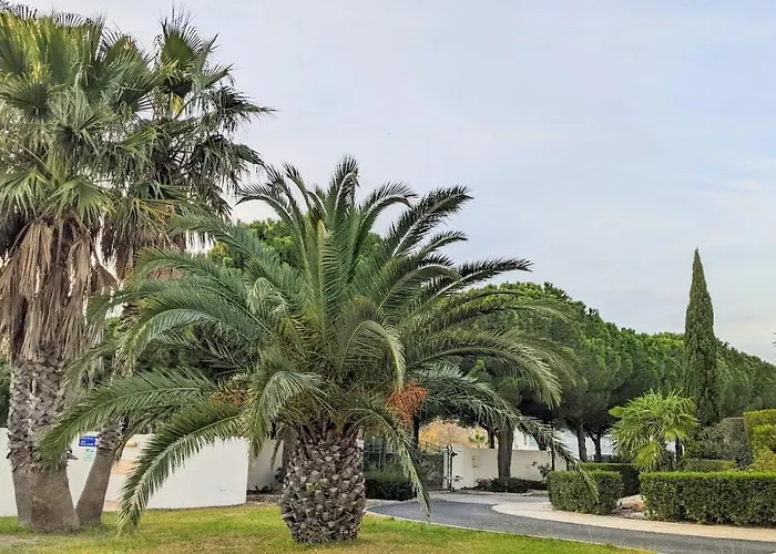 Presqu'ile De La Lagune - Piscine - & Nature סן סיפריאן